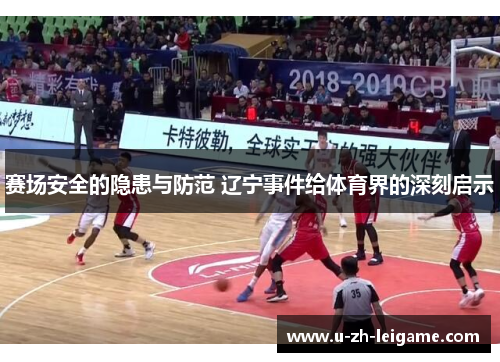 赛场安全的隐患与防范 辽宁事件给体育界的深刻启示
