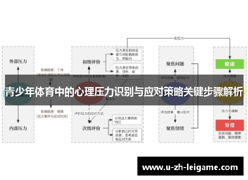 青少年体育中的心理压力识别与应对策略关键步骤解析