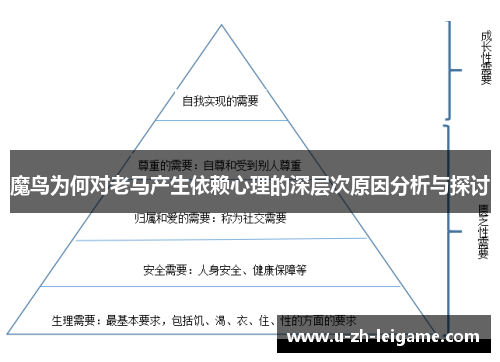 魔鸟为何对老马产生依赖心理的深层次原因分析与探讨