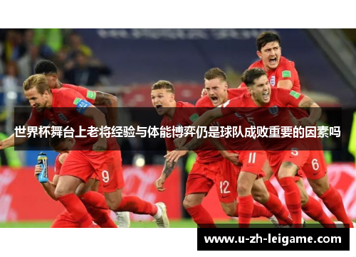 世界杯舞台上老将经验与体能博弈仍是球队成败重要的因素吗