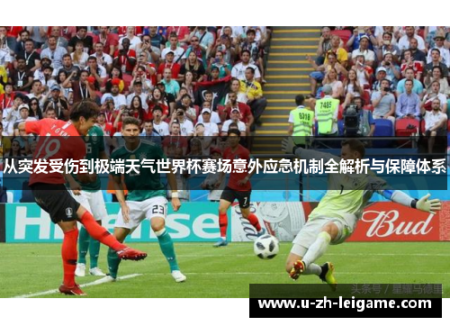 从突发受伤到极端天气世界杯赛场意外应急机制全解析与保障体系